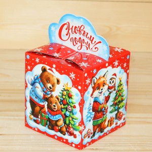  в Северном