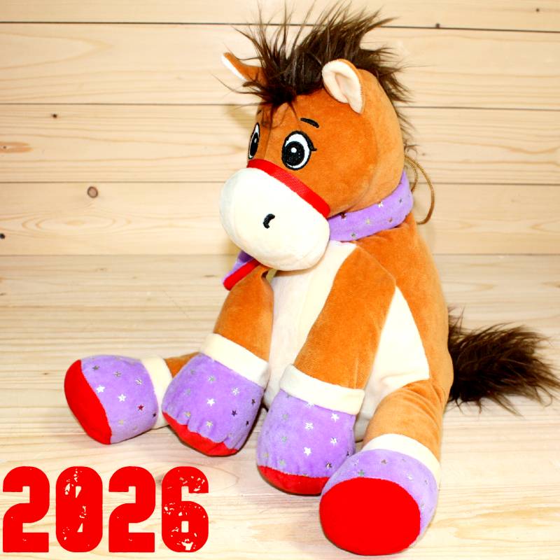 Подарок 894 в Северном